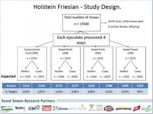Figure 1. Experimental design of the sexed semen field trial conducted during the 2013 breeding season. Two fresh sexed semen treatments and one frozen sexed semen treatment were compared against a conventional fresh treatment.