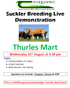 Thurles Mart demo