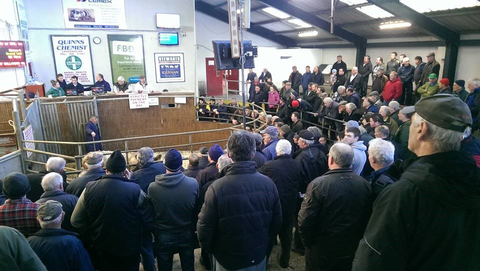 Ballina Sale Report