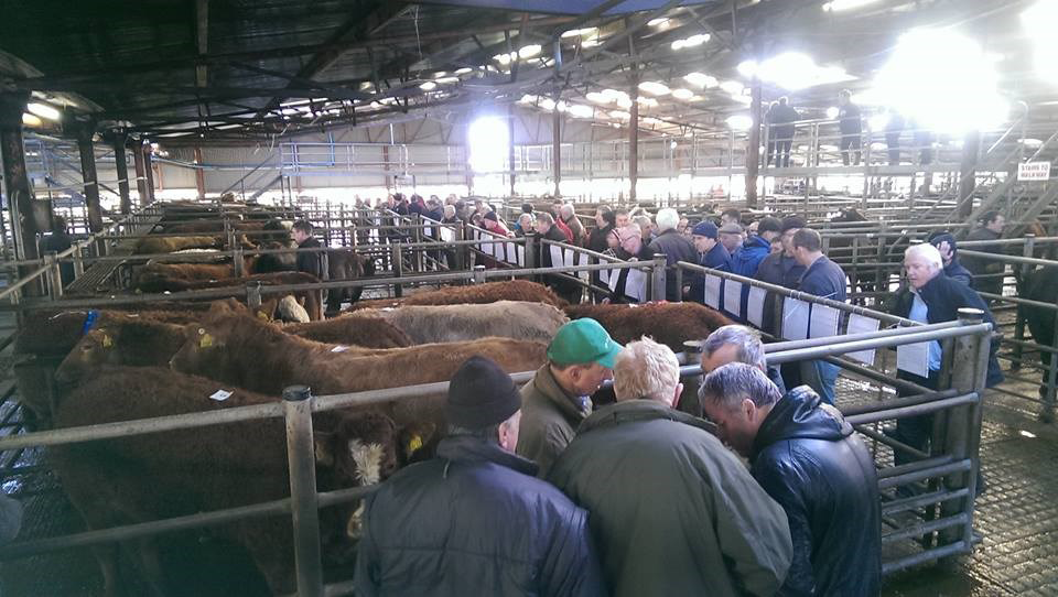 Ballina Sale Report1