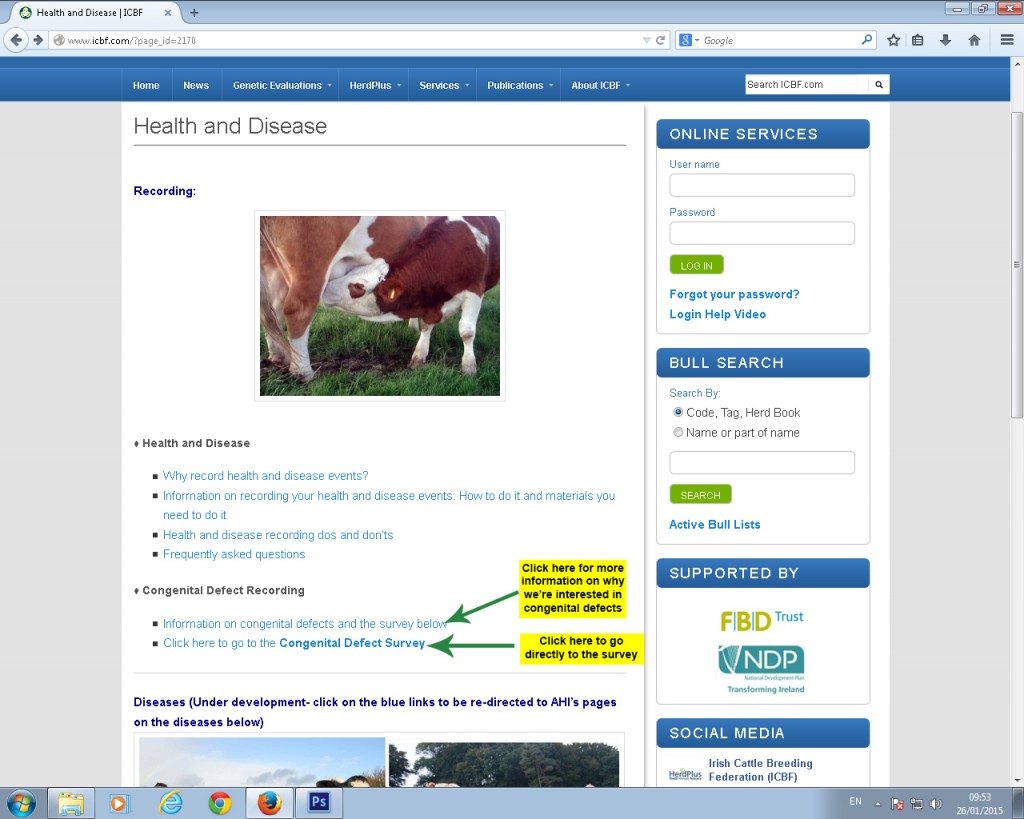 H&D first page_defects_highlight_1_26_15