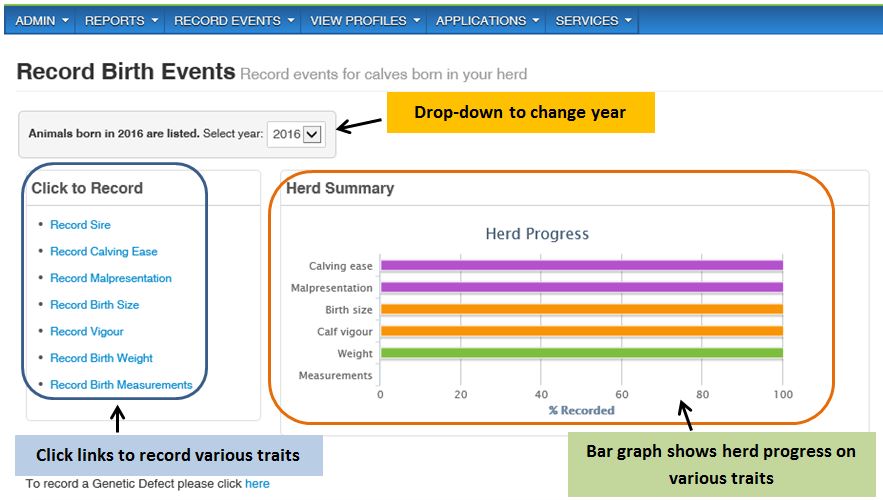 Bar Graphs