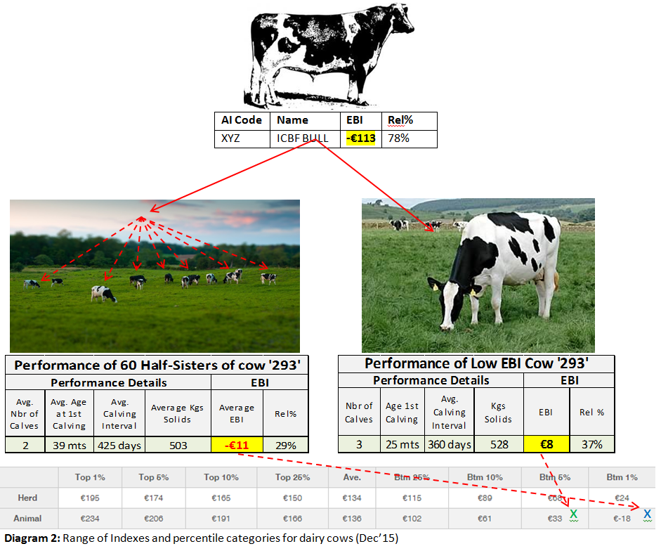 Dairy feature
