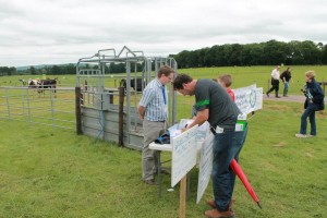 Read more about the article ICBF at Moorepark Open Day, July 3rd