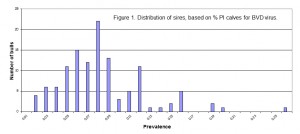 BVD Incidence is 10% Heritable