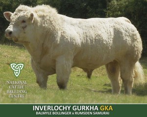 INVERLOCHY GURKHA (GKA)