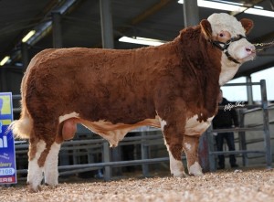 CLOONDROON CALLING (QCD)