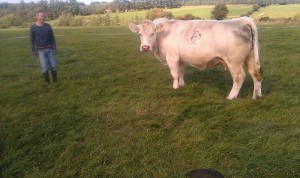 Ballyhussa Ullen (Indurain x Castlemartin imp'95 Leonard) & Tom Power