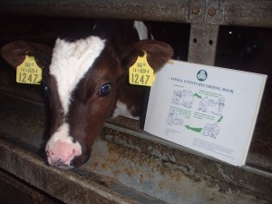 On-Farm Data Recording: A Farmer’s Guide