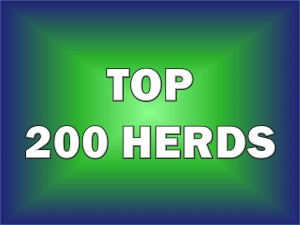 Top 200 Herds Announced