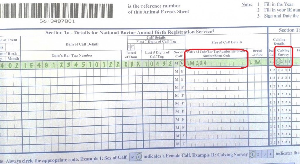 Pic 1: The Animal Events Recording sheet highlighting sections for sire and calving survey details.
