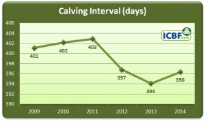 HerdPlus Dairy Calving Report
