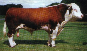 RTE_2