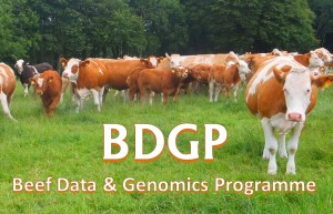 Read more about the article DAFM Announces Simplification of Requirements for BDGP