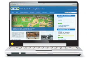Read more about the article ICBF Animal Search – Over 2 Million Hits in 2017
