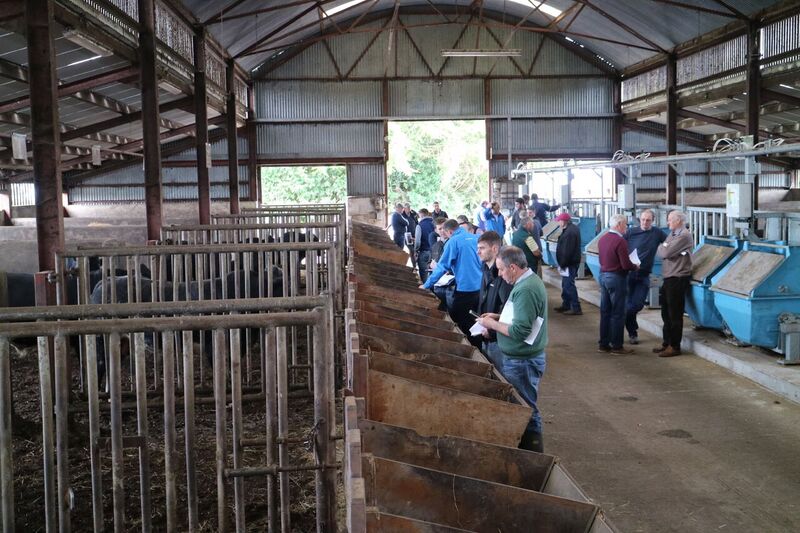 Read more about the article Tully Gene Ireland Industry Event