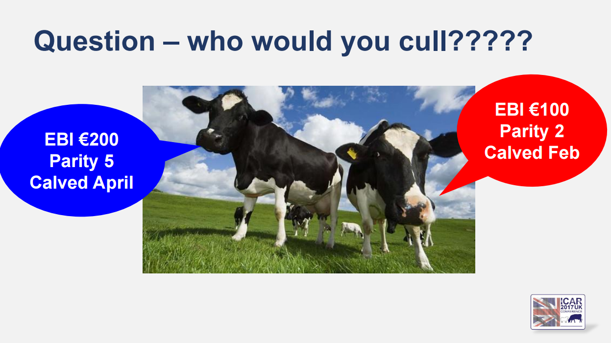 Read more about the article Cow’s Own Worth (COW) – synergising data to provide a new tool to aid in culling decisions in seasonal dairy herds