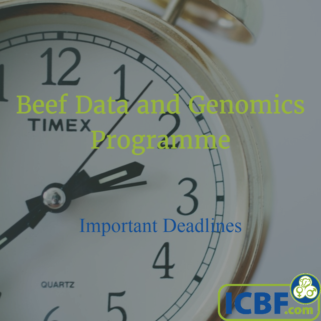 Read more about the article Important BDGP Deadlines