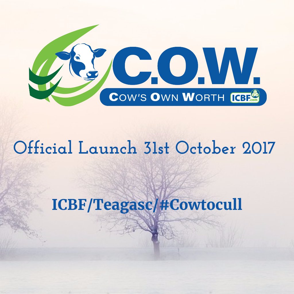 Read more about the article C.O.W. (Cow’s Own Worth) Official Launch October 31st