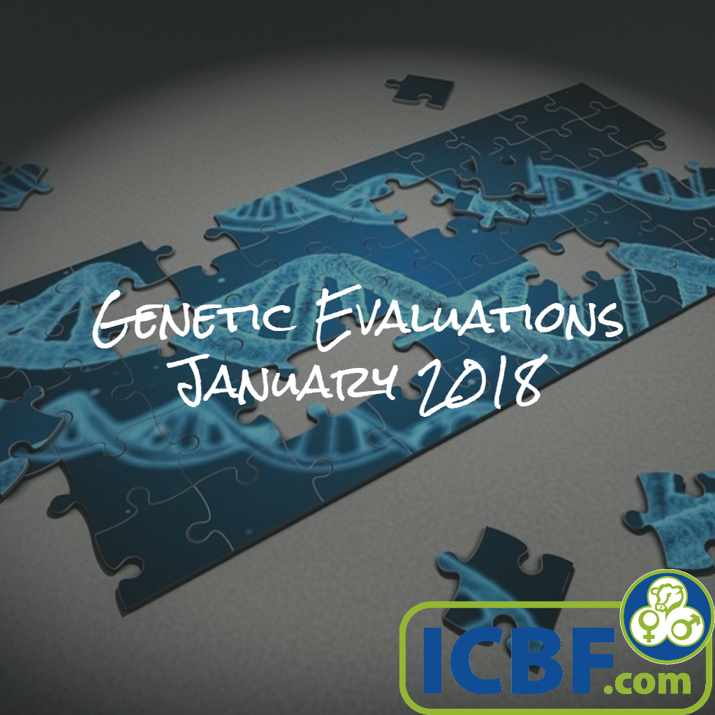 Read more about the article Just over a Week left to record data for January 2018 Evaluation