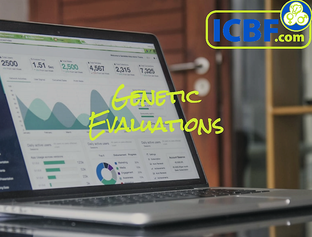 Read more about the article July Genetic Evaluations now live
