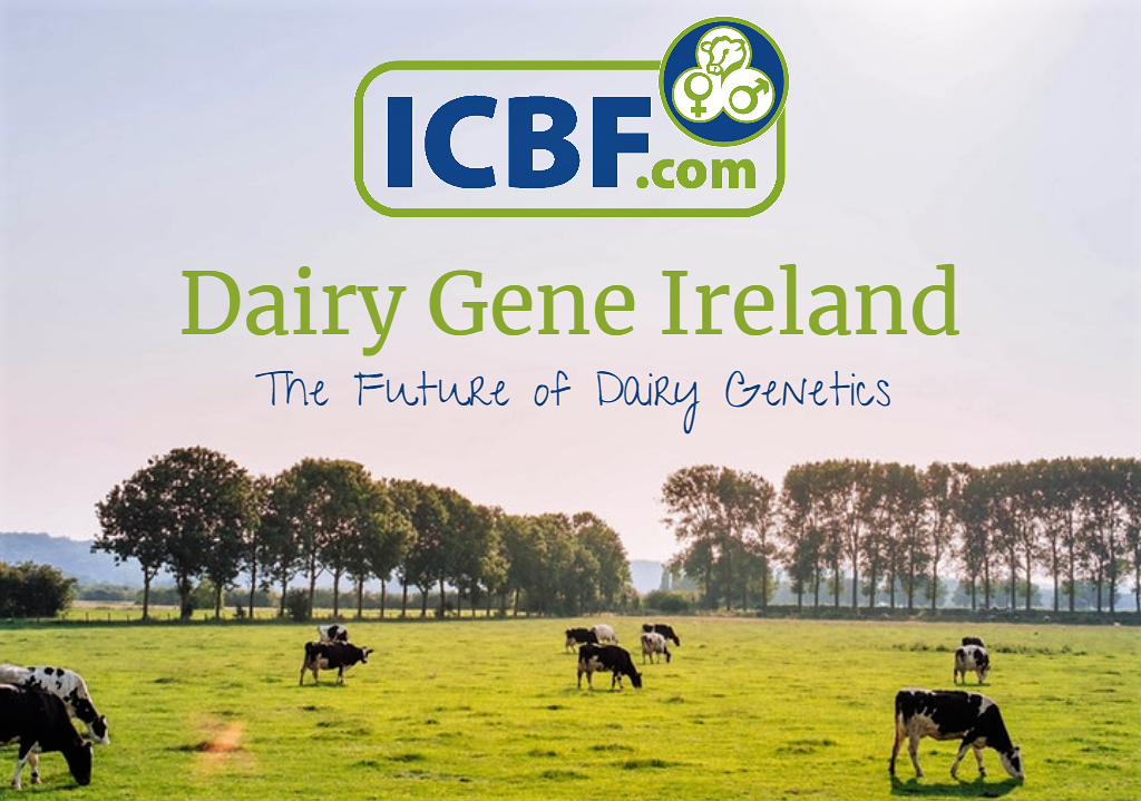 Read more about the article Want To Be Part of The Future of Dairy Genetics?