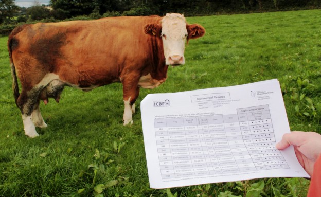Read more about the article ICBF meet with the Dail Agricultural Affairs Committee