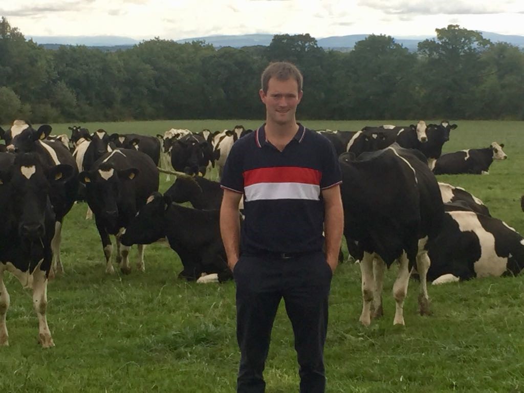Read more about the article Using C.O.W for culling in the Croke herd