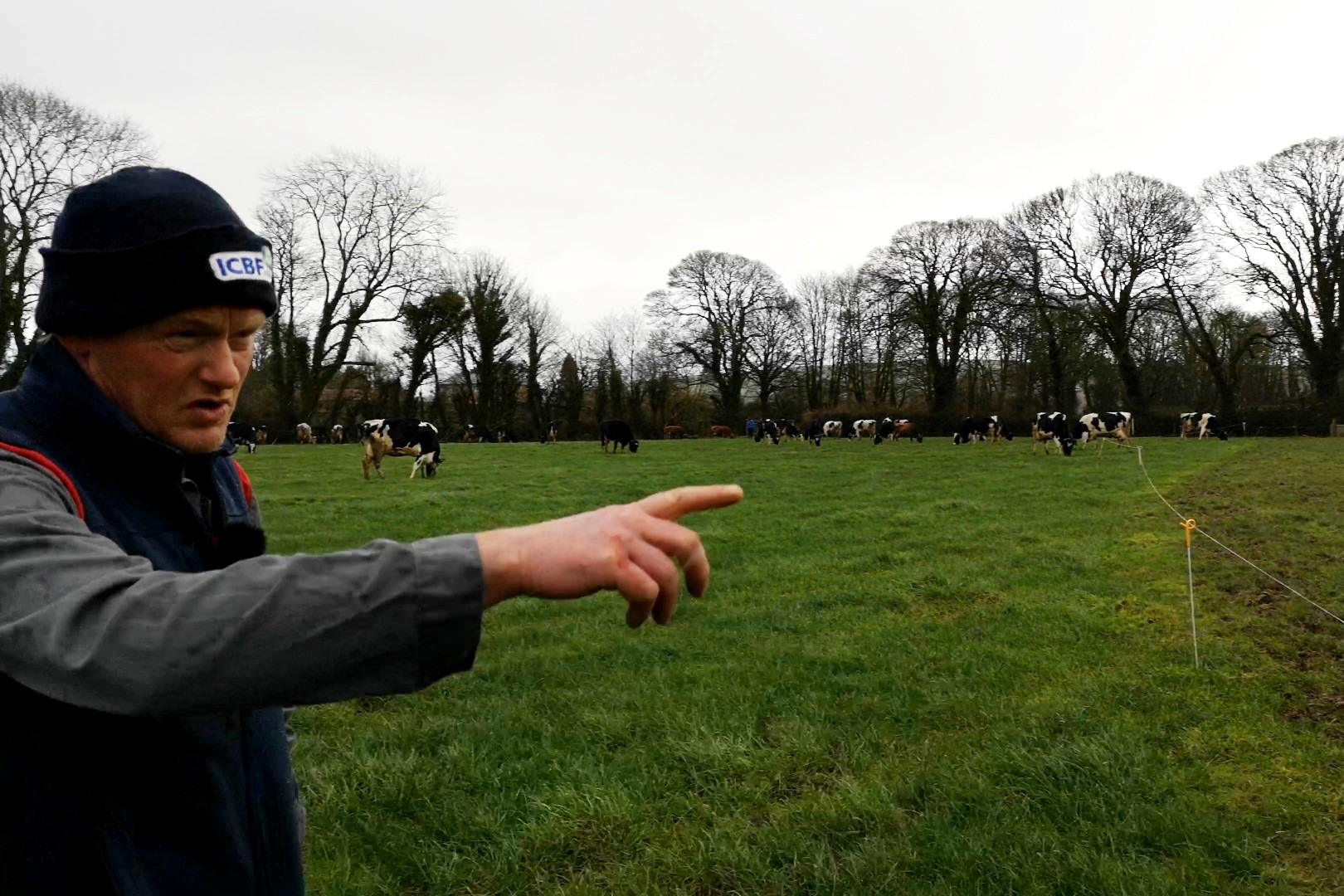 Read more about the article Peter Hynes – We’re on day 18 of breeding and have hit 90 percent submission