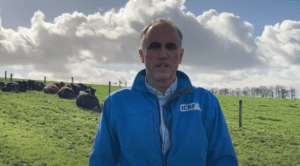 Read more about the article Breeding Week – Six Point Breeding Plan