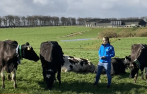 Read more about the article Breeding Week – Using both dairy and beef AI
