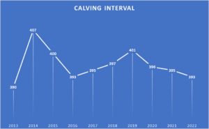 Read more about the article Beef Calving Interval sees improvement for 3rd consecutive year!