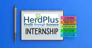 2024 HerdPlus Student Internship
