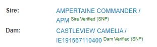 ZAG Parentage Limousin Castleview