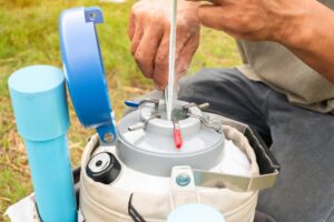 Read more about the article Pregnancy rates for sexed semen continue to improve.