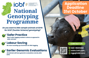 Read more about the article NGP Application Deadline Extended to 31st October 2023