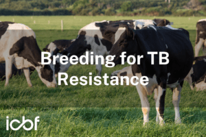 Breeding for TB Resistance in 2025