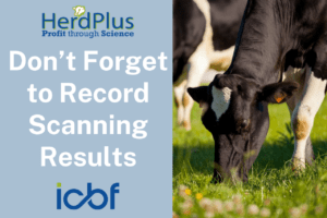 Don’t forget to record Pregnancy Diagnosis on ICBF