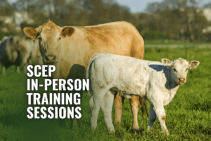 Read more about the article SCEP In-Person Training Sessions