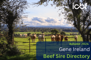 Read more about the article Suckler Beef Gene Ireland Panel Launch – Autumn 2024