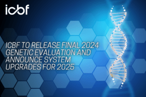 Read more about the article ICBF to Release Final 2024 Genetic Evaluation and Announce System Upgrades for 2025