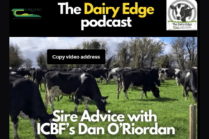 Read more about the article Teagasc Dairy Edge – Sire Advice with Dan O’Riordan