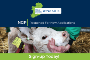 Read more about the article Would you like to genotype your breeding stock for FREE in 2025? (worth €1,800 for average 100 cow herd)