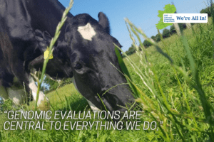 Read more about the article Harnessing the Power of Genetics: Padraig O’Connell’s Experience with the National Genotyping Programme