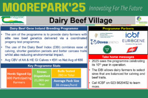 Read more about the article Moorepark Open Day 2025 – Gene Ireland Dairy Beef Programme Overview