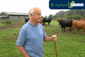 Read more about the article DNA Data Driving Better Breeding Decisions on a Laois Suckler Farm