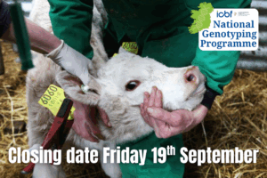 Read more about the article Closing date for NGP applications – Friday 19th September