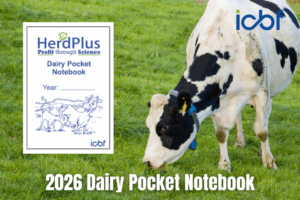 Read more about the article Ensure your data is up to date for accurate expected calving dates in your 2026 pocket notebook
