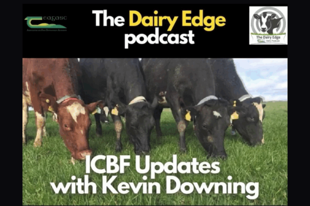 Teagasc Dairy Edge – ICBF updates with Kevin Downing
