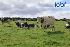 Read more about the article Changes to Dairy Evaluations in September 2025 – What Farmers Can Expect